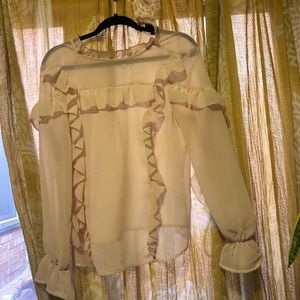 Light Pink Sheer Blouse- Who What Wear